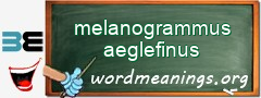 WordMeaning blackboard for melanogrammus aeglefinus